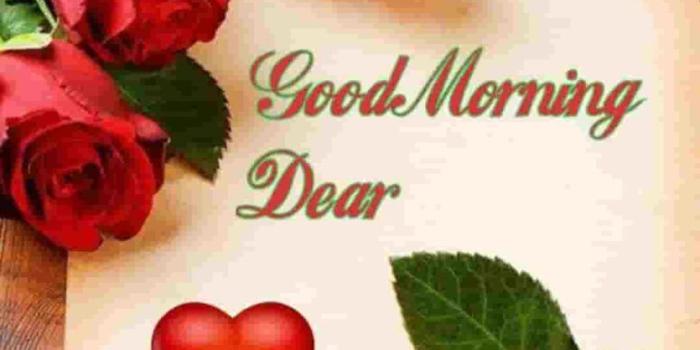 774x1024 55 Good Morning Rose Flowers Images Pictures With Romantic, Red Roses