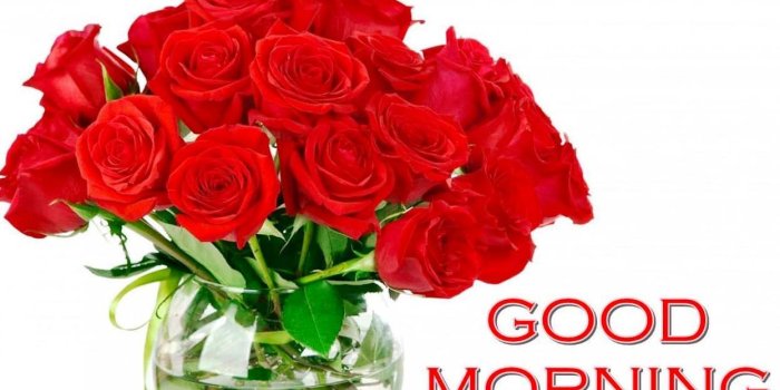 1246x739 Red Rose Good Morning Wallpaper 51 Hd Collections - Good Morning