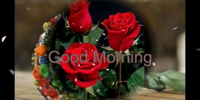 1280x720 Good Morning Wishes With Beautiful Flowers Wallpapers