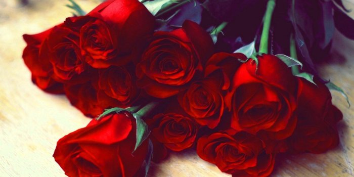 1664x1200 Good Morning Red Rose Pictures Wallpaper For Facebook - صور حب ورد
