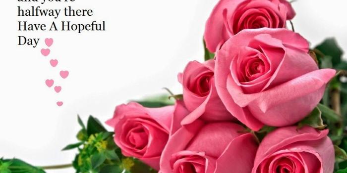 1024x768 Fresh Morning ,Good Morning ,Hope Quote,Flower Wallpaper