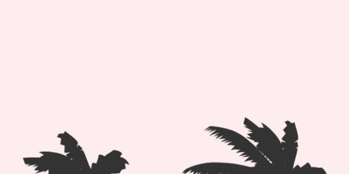 720x1280 Fondos de wp #IphoneBackgrounds | Phone wallpapers in 2019 | Palm