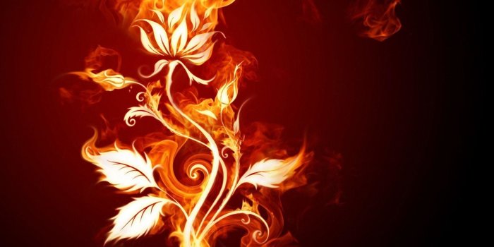 1920x1536 Fire Flower Wallpaper ·① WallpaperTag