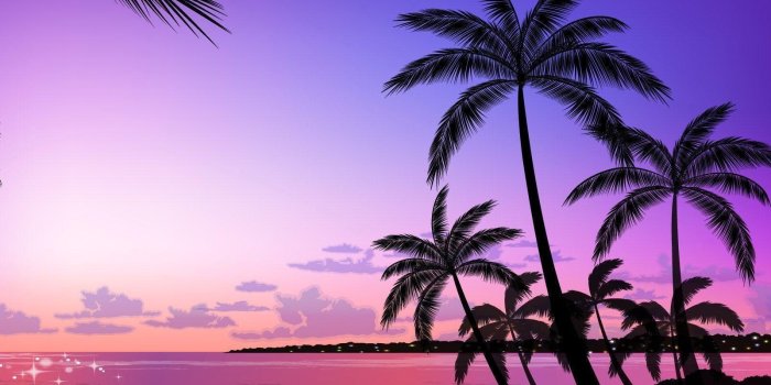 1600x1200 Palm Tree Background - PowerPoint Backgrounds for Free PowerPoint