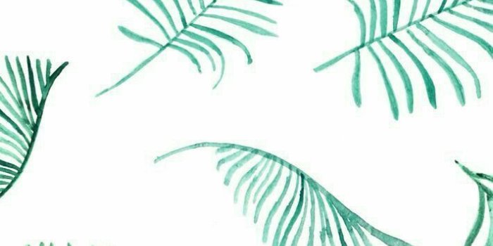 710x1136 Stitch Wallpaper Tumblr Iphone Google Search Design - Palms By