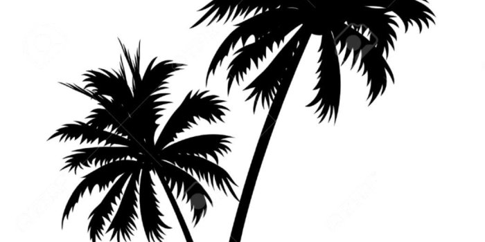 1043x1209 Palm tree clip art wallpapers background - Cliparting.com