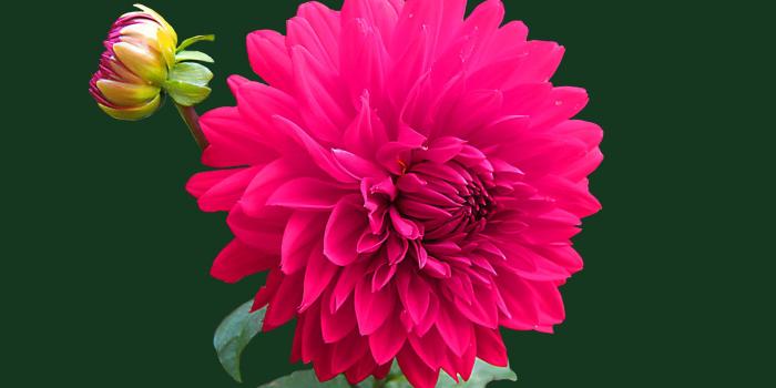 1928x1448 Good Morning Wednesday Images Wallpaper Photo Pics - Beautiful