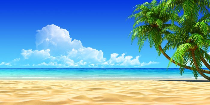 2560x1440 Image for Tropical Beaches With Palm Trees Wallpapers Desktop