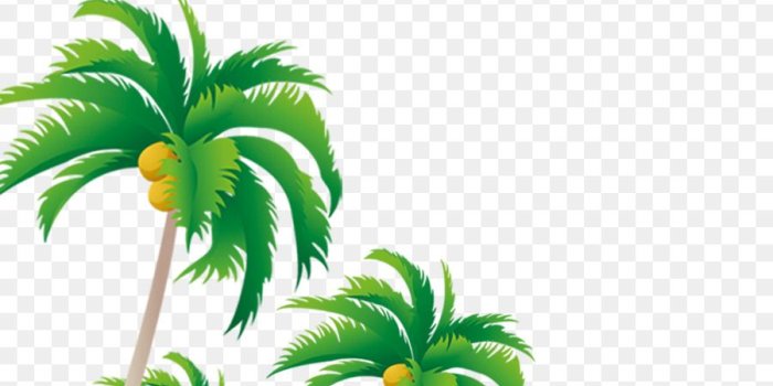 900x1040 Palm Tree Background png download - 1290*1470 - Free Transparent