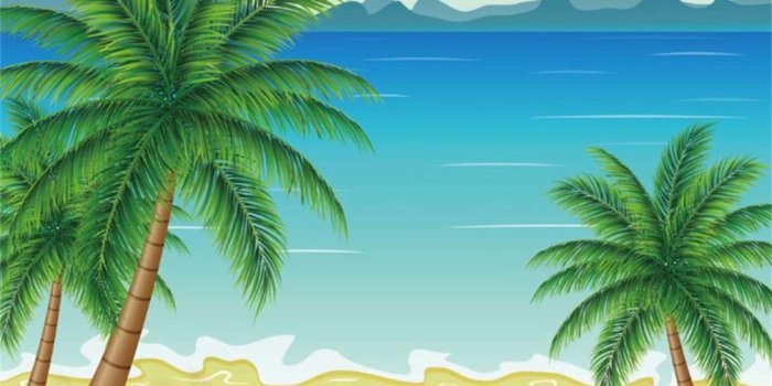1008x1008 Amazon.com : Leyiyi 8x8ft Summer Coco Party Backdrop Cartoon