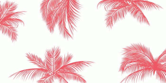 2561x1441 May Wallpaper-06 - Desktop Wallpaper Pink Palm Trees (#503288) - HD