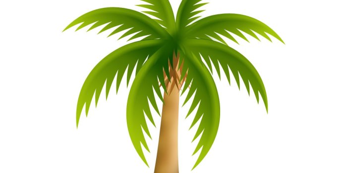 1280x1024 Free Transparent Cartoon Palm Tree, Download Free Clip Art, Free