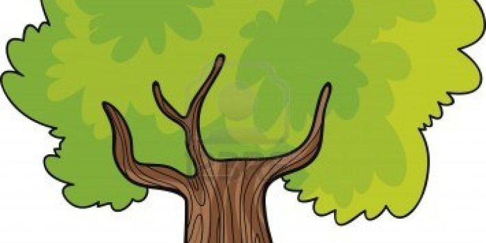 1065x1200 Free Animated Tree Pictures, Download Free Clip Art, Free Clip Art