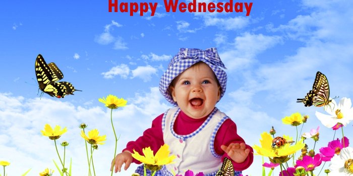 3102x2160 Good Morning Wednesday Images Wallpaper Photo Pics - Nature Flowers