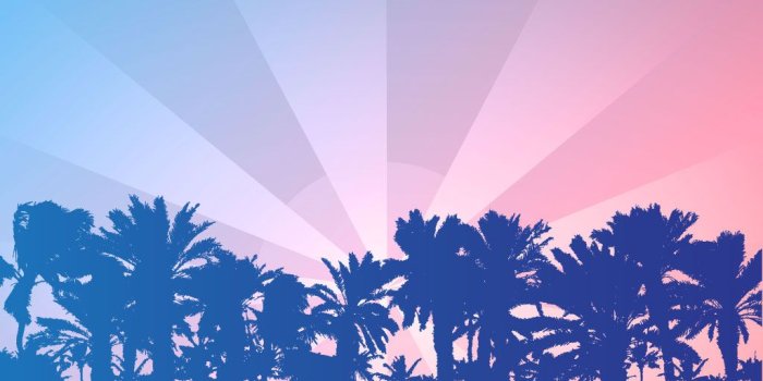 1024x768 Soft Palm Tree Horizon