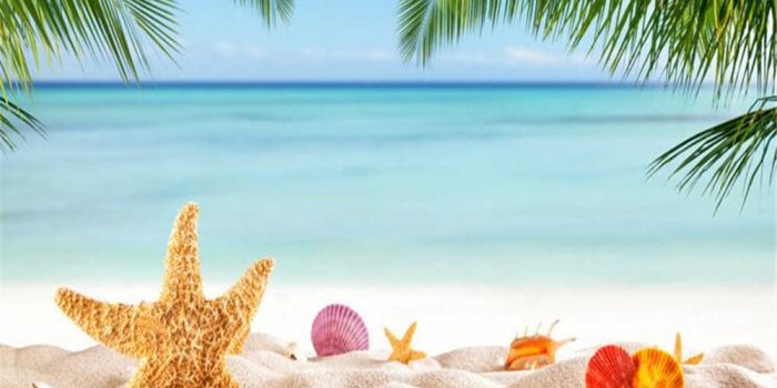 1000x800 Beibehang Beach starfish coconut tree 3d wallpaper photo home decoration  murals living room bedroom TV wallpapers 3d photo