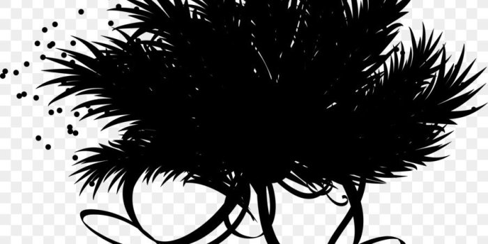 900x900 Cartoon Palm Tree png download - 3665*3637 - Free Transparent Palm