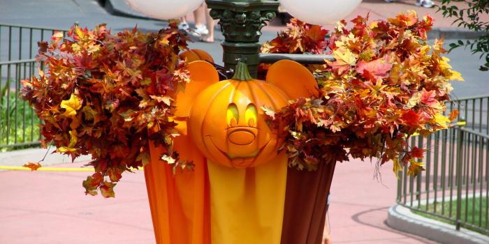 2560x1440 Halloween Decorations: Mickey pumpkin Halloween decoration on Main