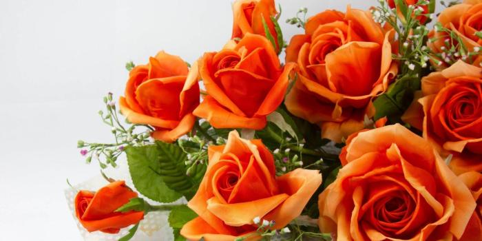 1920x1080 Orange Roses wallpaper | 1920x1080 | #2466