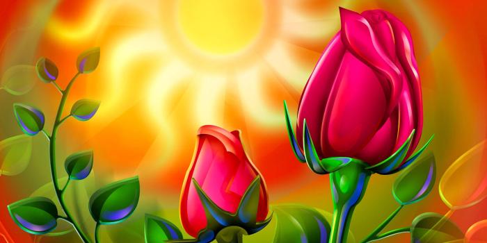 1920x1200 World's Top 100 Beautiful Flowers Images Wallpaper Photos Free Download