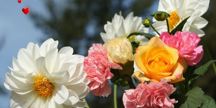 1600x1200 25 Beautiful Flower Wallpapers for your desktop - Flower Pictures