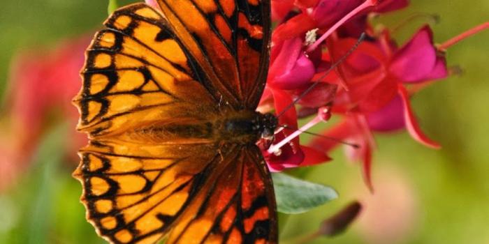 900x1355 Most Beautiful Places In The World Hd Wallpaper Images - Worlds Most