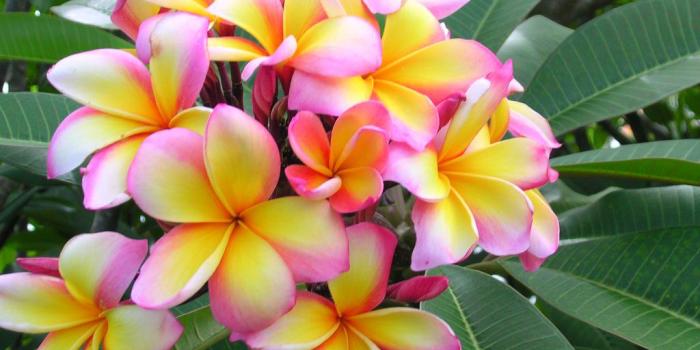 1024x768 Www Highqualityimageof Beaut Of World Com - home decor photos gallery