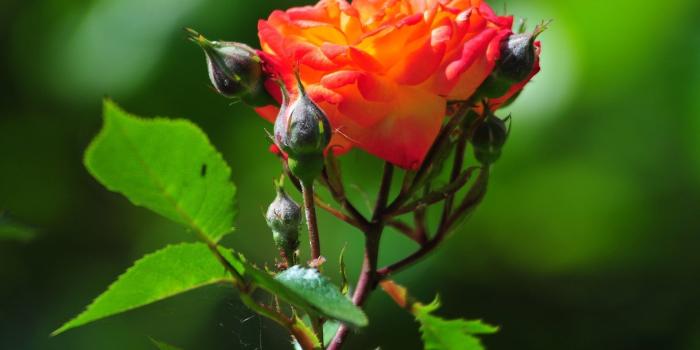 1920x1200 Nice HD Background Wallpaper (76+ images)