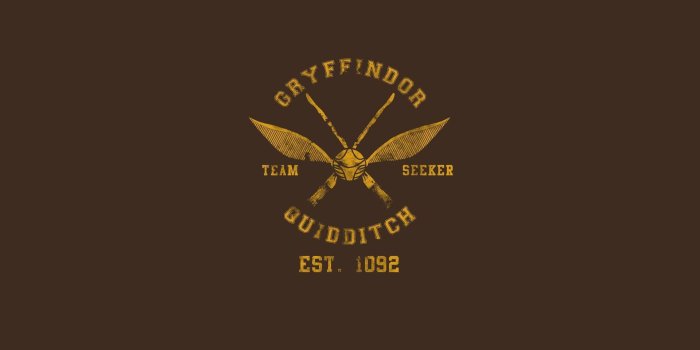 1920x1200 Quidditch Wallpapers - Top Free Quidditch Backgrounds - WallpaperAccess