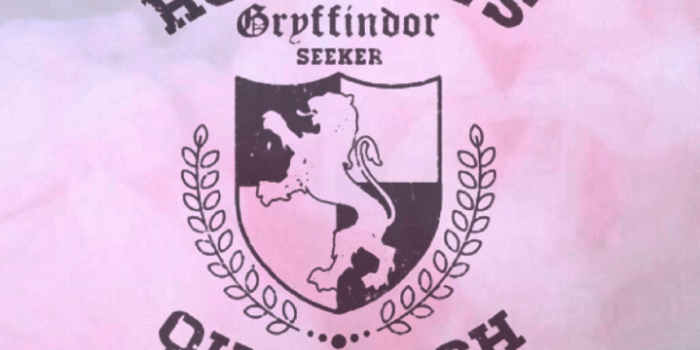 719x1280 Harry Potter Aesthetic Wallpapers