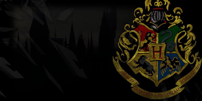 1920x1080 68+ Hogwarts Iphone Wallpapers on WallpaperPlay