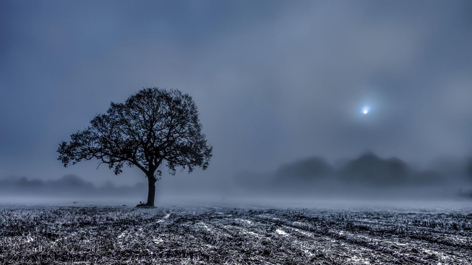 1920x1080 Full HD Wallpaper landscape moon finland frost norway, Desktop