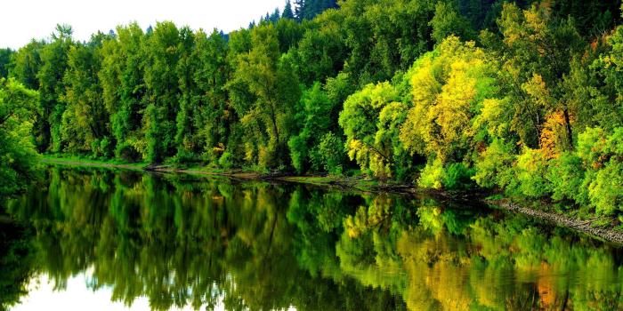 2400x1600 6000 X 4800 Cool Wallpapers - Top Free 6000 X 4800 Cool Backgrounds