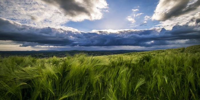 1600x1067 Download 6000 X 4800 Resolution Wallpapers for Pinterest [1600x1067