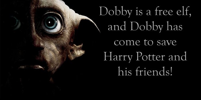 1680x1050 75+] Dobby Wallpaper on WallpaperSafari