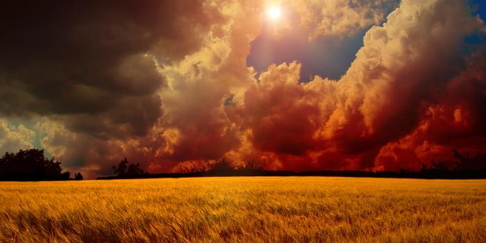 6000x4000 Best 52+ 6000X4000 Wallpaper on HipWallpaper | 6000X4000 Wallpaper