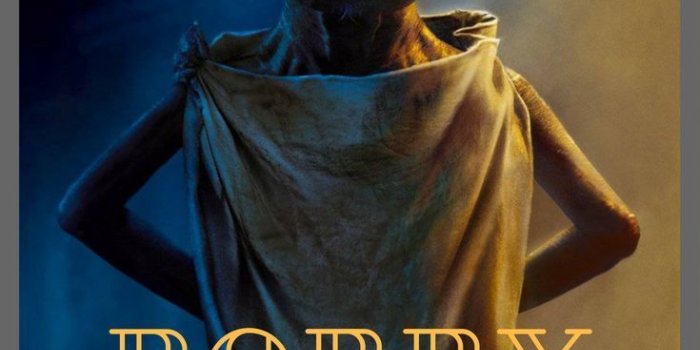 735x1102 Making the ultimate sacrifice for Harry, Dobby will always be