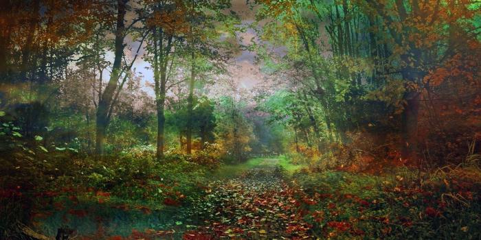 1600x1096 41+] 6000 x 4800 Resolution Wallpapers on WallpaperSafari