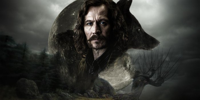 1920x1080 Sirius Black Wallpapers ·① WallpaperTag