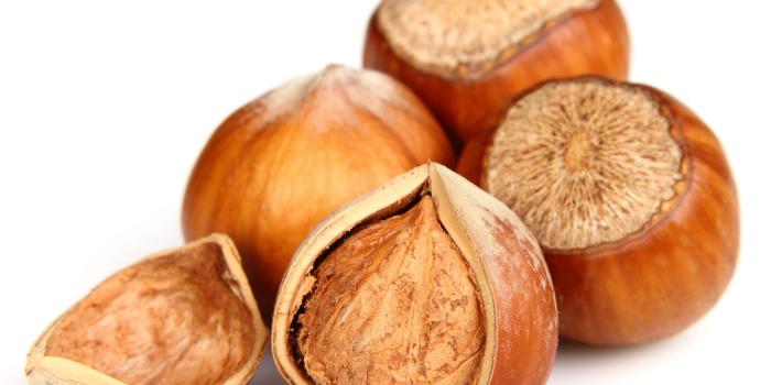 6000x4800 Hazelnut 5k Retina Ultra HD Wallpaper | Background Image | 6000x4800