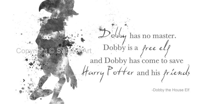 1500x1125 Quotes about Dobby (48 quotes)