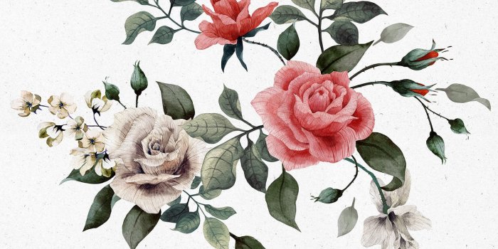 1650x1070 Vintage Red and White Rose Wallpaper - Murals Wallpaper