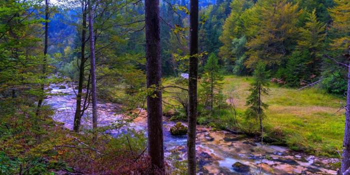 1600x1067 X 6000 4800 Resolution Wallpapers