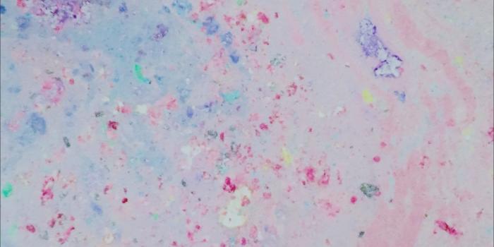 2270x4032 6000 X 4800 Resolution Flower Wallpapers