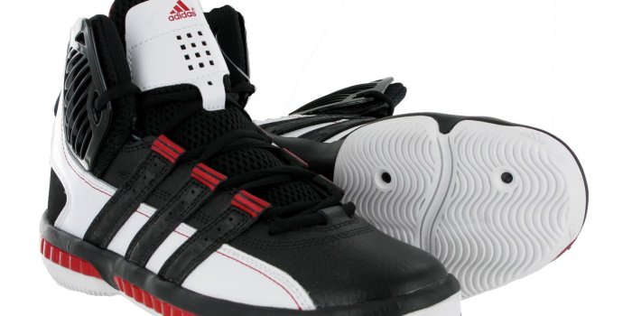 1600x1200 Mister Fly – duanealawrence