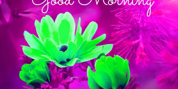 1587x1056 45+ Spring Good Morning Images Wallpaper Photo Pics HD Download