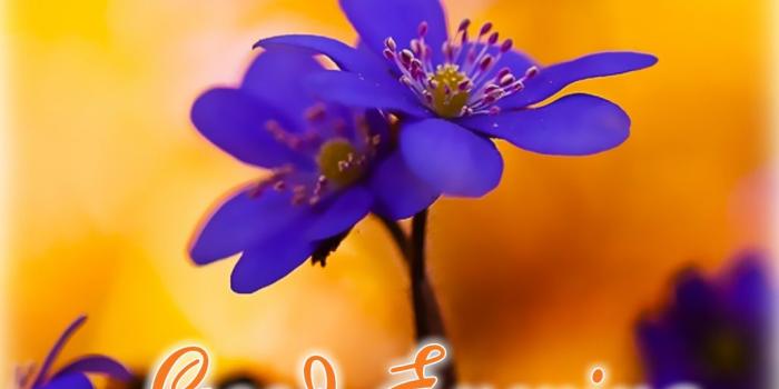 1028x800 Sweet Good Evening Images With Quotes For Lovers - iLove Messages