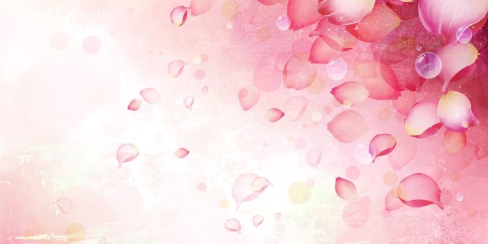 1920x1200 Red Rose Vector #7000254