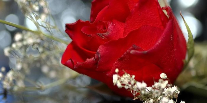 1280x1200 8778 elegant wedding wallpaper