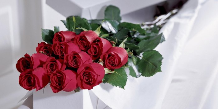 2710x1710 Red rose bouquet HD wallpaper | Wallpaper Flare